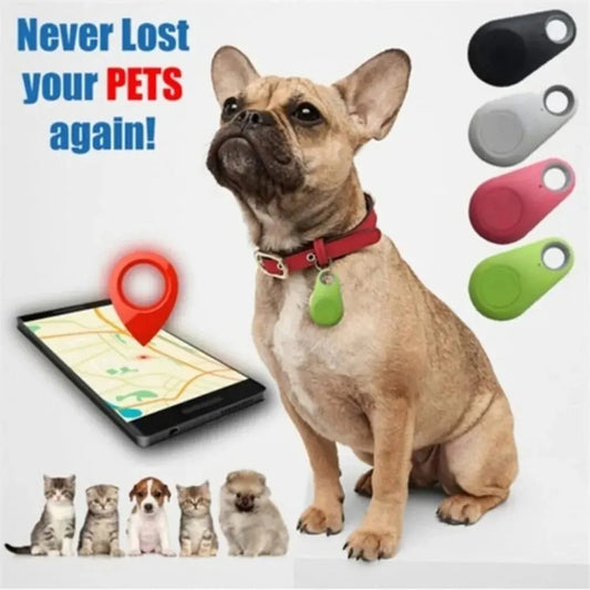 Dog/cat gps trackers