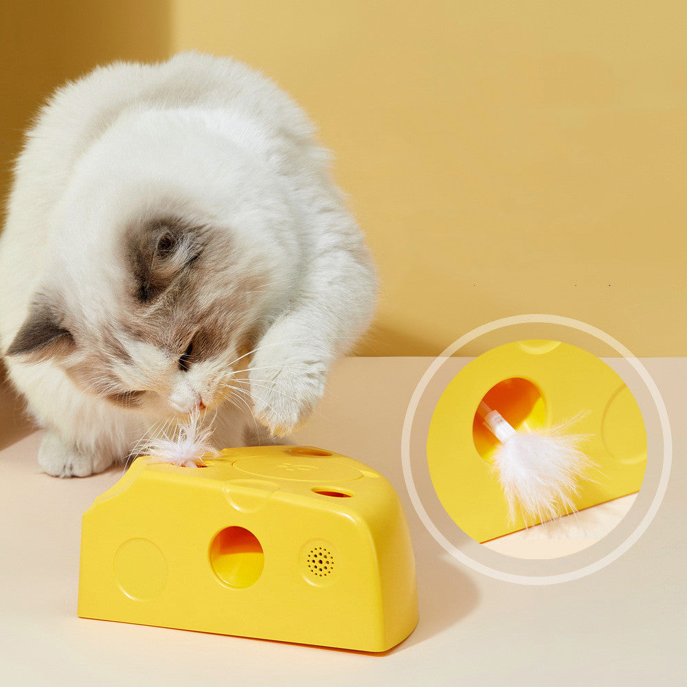 Creative Cheese Style Electric Smart Cat Toy (Rechargeable)